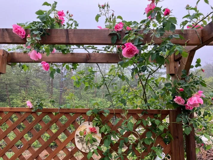 土岐細野メゾチント美術館&ガーデンズ